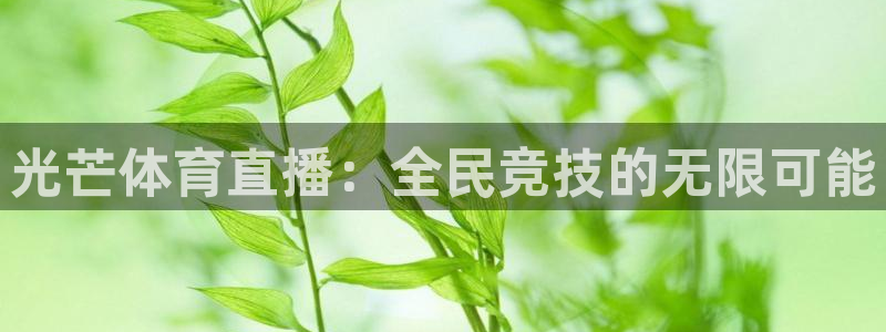 jr看球直播网：光芒体育直播：全民竞技的无限可能