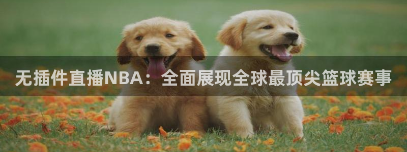 jr看球直播：无插件直播NBA：全面展现全球最顶尖篮球赛事