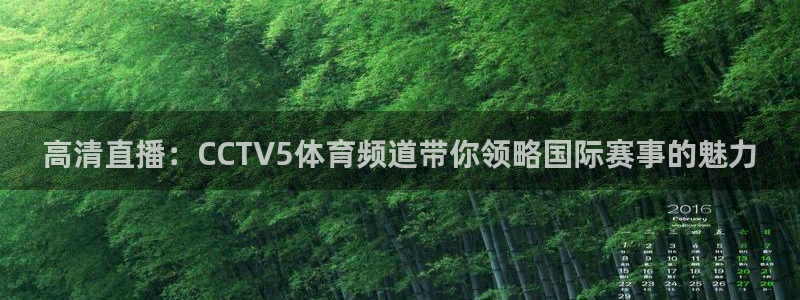 jr看球直播网：高清直播：CCTV5体育频道带你领略国际赛事的魅力