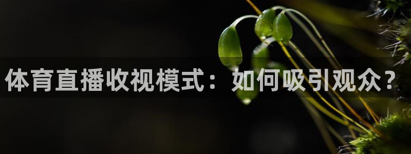 nba网站直播jrkan：体育直播收视模式：如何吸引观众？