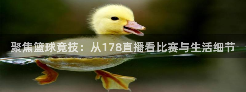 jrkankan体育直播：聚焦篮球竞技：从178直播看比赛与生活细节