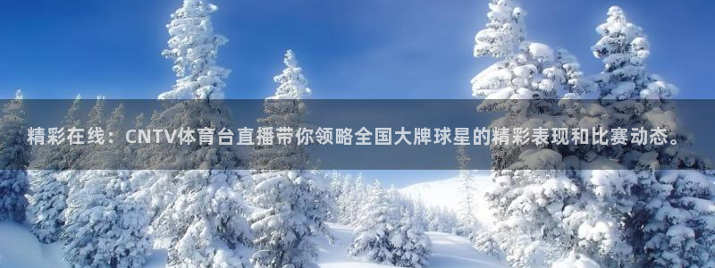 nbajrkan直播：精彩在线：CNTV体育台直播带你领略全国大牌球星的精彩表现和比赛动态。