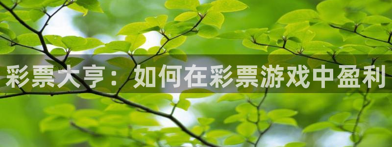 jrkan直播篮球：彩票大亨：如何在彩票游戏中盈利