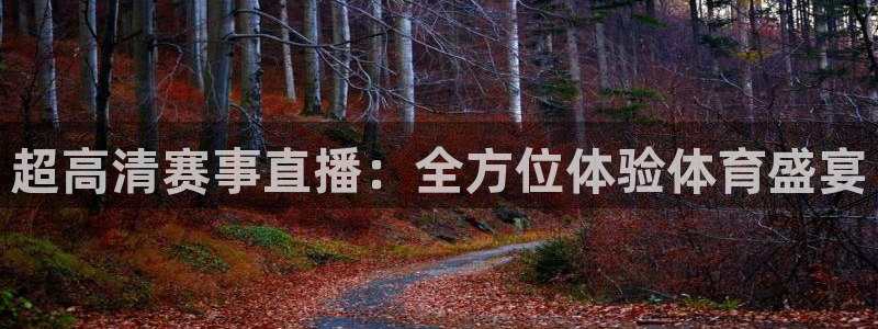 jrkankan直播体育网：超高清赛事直播：全方位体验体育盛宴
