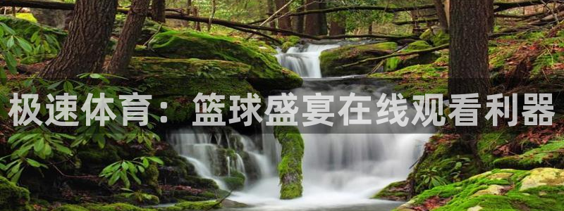 jr看球网直播nba：极速体育：篮球盛宴在线观看利器