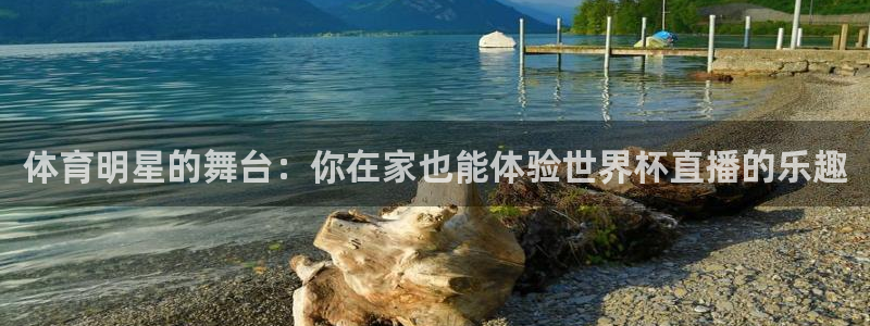 jrkankan直播体育：体育明星的舞台：你在家也能体验世界杯直播的乐趣