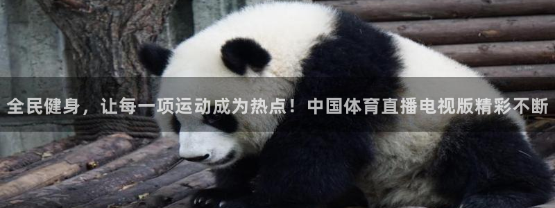 jrkan直播篮球体育网：全民健身，让每一项运动成为热点！中国体育直播电视版精彩不断