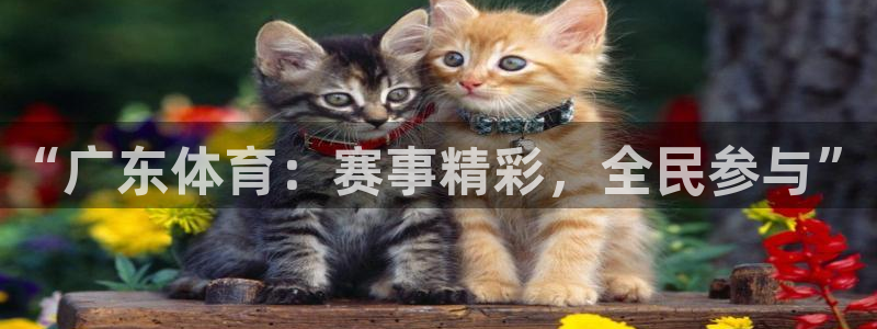 jrkan直播：“广东体育：赛事精彩，全民参与”