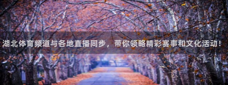 jrkan直播篮球体育网：湖北体育频道与各地直播同步，带你领略精彩赛事和文化活动！